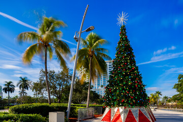Holiday Christmas Tree in Hollywood Florida . Long exposure to blur trees and sky