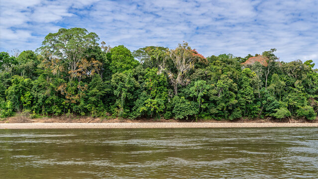 Madre de Dios river, Manu national park, Peruvian Amazon, Cusco, Peru