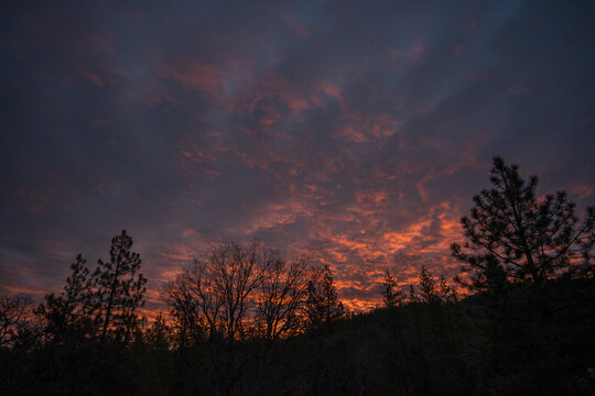 Sunrise in the Forest