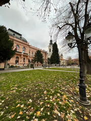 Obraz premium A view of a historic building and church tower framed by autumn trees and overcast sky, capturing calm seasonal atmosphere in a public square. Sremski Karlovci, Serbia.
