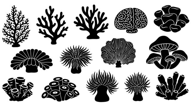 Black silhouette illustrations of coral, sea anemones, mushrooms, and sponges in a graphic icon set showing diverse forms of marine life and fungi in a minimalist style
