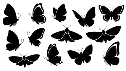 Fototapeta premium Black butterfly and moth silhouette collection showing various flying and resting poses, with different wing shapes and angles in a simple, graphic vector illustration style