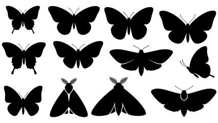 Black butterfly and moth silhouettes in a diverse collection of insect shapes, showcasing various wing patterns and species in a minimalist graphic vector style illustration © eclipse