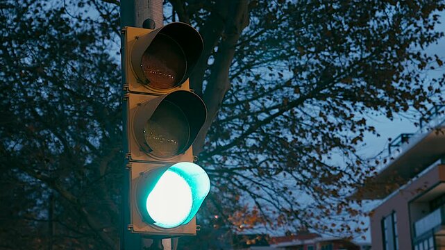 Time-lapse video of traffic light changing from red to green to yellow and back to red light with tree branches and low-rise buildings in the background at dusk