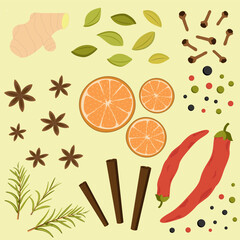 Set, spices and herbs, pepper, spicy, paprika, peppercorns, cinnamon, star anise, cardamom, dried oranges, rosemary, ginger, cloves