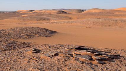 A trip to Sahara desert in Algeria. Beautiful  african travel photo. Sandy landscapes,  dunes, and nature. Summer vacation in arab country. © TKalinovskaya