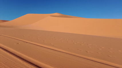 A trip to Sahara desert in Algeria. Beautiful 
african travel photo. Sandy landscapes, 
dunes, and nature. Summer vacation in arab country.