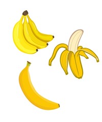 Vector Illustration of bananas on white background,