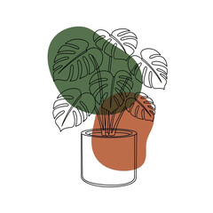 Minimalist Monstera plant drawn in one continuous line with abstract color shapes