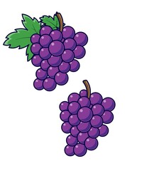 bunch of grapes icon , white background