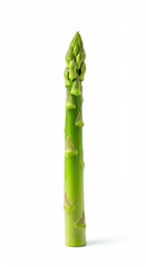 Fototapeta premium Single asparagus stalk isolated on white background, a healthy and fresh vegetable