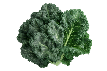 A bunch of fresh kale leaves with textured green veins isolated on a clean transparent background PNG file