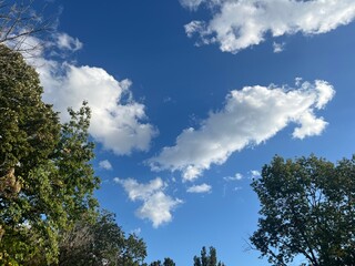 Blue Sky with White Clouds and Green Trees