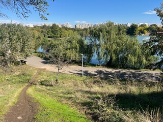 Park Path Beside Lake with Trees and City Buildings