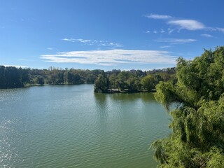 Lake and Trees Landscape Under Blue Sky