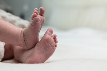 Newborn baby feet showing intricate skin details and innocence