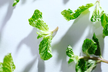 Fresh garden mint leaves on white background. Mint may relieve indigestion, improve brain function,...