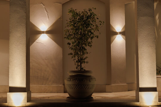 Potted plant in elegant architectural setting with warm lighting