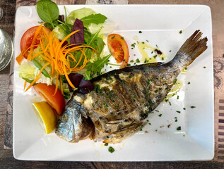 grilled sea bream fish on white plate