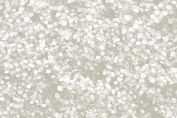 Cloud dancer toned color muehlenbeckia complexa plant background. Monochrome color background. Trendy color 2026.