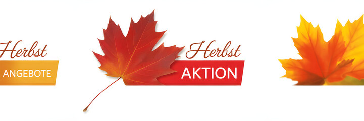 Autumn sale promotion with maple leaves seasonal discount offer with vibrant colors for retail and advertising campaigns