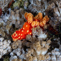 Obraz premium MAL_5015