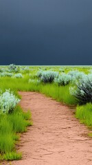 Obraz premium Dirt Path Leading Through Meadow Under Stormy Sky