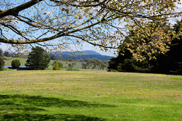 Spring in the Yarra Valley - Coldstream, Victoria, Australia