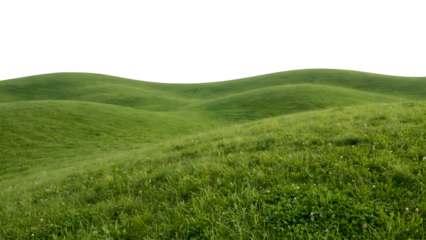 Green rolling hills with lush grass under a clear sky.