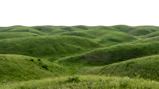 Rolling green hills landscape under a bright clear sky peaceful scenery.
