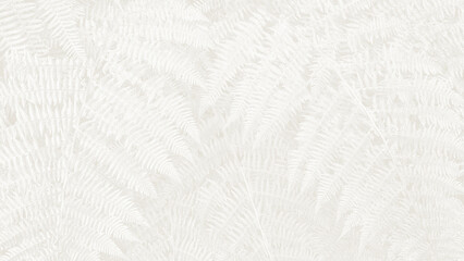 White background with fern leaves creating a subtle texture and pattern in a natural setting © prystai