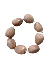 Babassu coconut in a wheel design