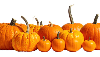 Vibrant Array of Orange Pumpkins Displayed on a Transparent Background for Autumn Harvest Decor