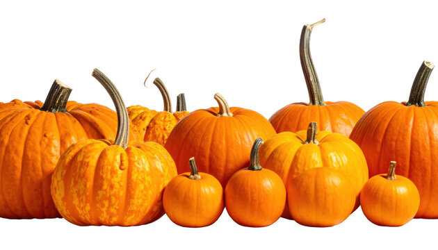 Vibrant Array of Orange Pumpkins Displayed on a Transparent Background for Autumn Harvest Decor - Powered by Adobe