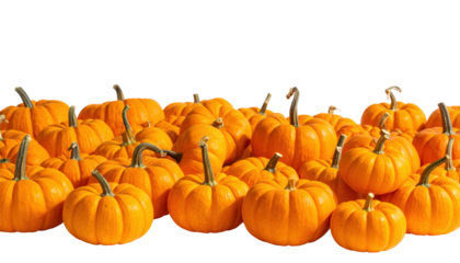 Cluster of Vibrant Orange Pumpkins Arranged on a Transparent Background for Autumn Seasonal Decor