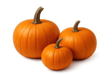 Obraz premium Orange pumpkins different sizes displaying autumn harvest, thanksgiving, and halloween concepts on a transparent background