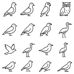 Elegant Avian Silhouettes: A sophisticated collection of meticulously crafted, minimalist bird line drawings. Showcasing a variety of species in elegant poses.