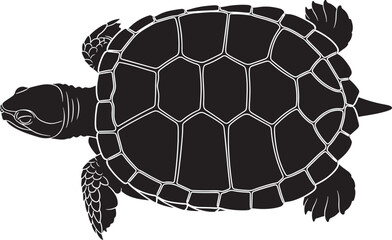 Stylized top view of a sea turtle silhouette, showing detailed shell patterns and flippers, on a clean white background. © Baby