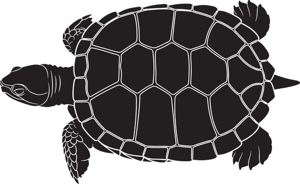 Stylized top view of a sea turtle silhouette, showing detailed shell patterns and flippers, on a clean white background.