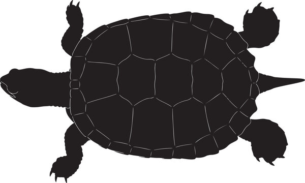 Top down silhouette vector illustration of a snapping turtle, a freshwater reptile, swimming or walking slowly in water.