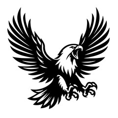 Obraz premium Flying Screaming eagle full b...