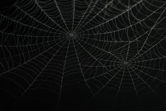 Close up on intricate spider web details on a dark backdrop, natural macro photography, web texture, nature art