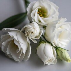 Elegant White Lisianthus Floral Arrangement on Minimalist Background