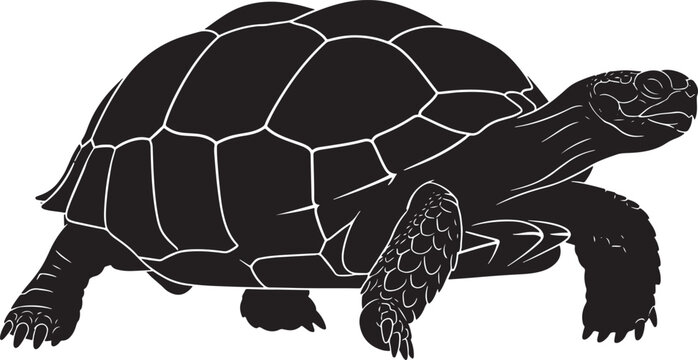 Detailed black silhouette vector illustration of a tortoise or turtle with white outlines, isolated on a transparent background.