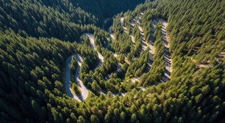An aerial view of a winding mountain road snaking through a dense green pine forest.