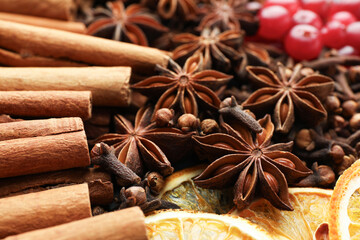 Different spices (anise, cloves, cinnamon), dry orange slices and cranberries for mulled wine, closeup