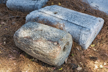 Ancient stone artifacts on pine needle-covered ground in natural setting
