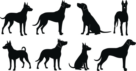 Set of Eight Black Silhouette Vector Illustrations of Large, Short-Haired Dog Breeds Like Dobermans or Great Danes, Capturing Various Standing and Sitting Poses for Pet Graphics.