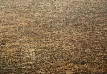 Dark walnut, natural dark wood surface close-up.
