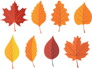 Colorful fall foliage border frame design illustration vector